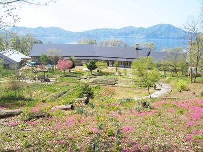 🌿 타자와코 허브 가든 하트 허브